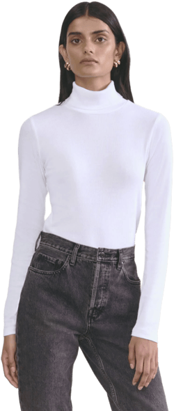 Everlane Women's Luxe Rib Cotton Turtleneck Sweater