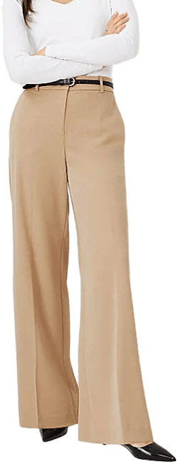 Ann Taylor Women's Wide-leg Pants