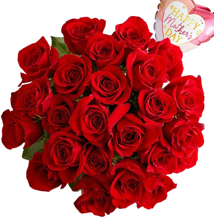 1-800-Flowers Send Flowers Same Day Flower Delivery Two Dozen Red Roses for Mother's Day