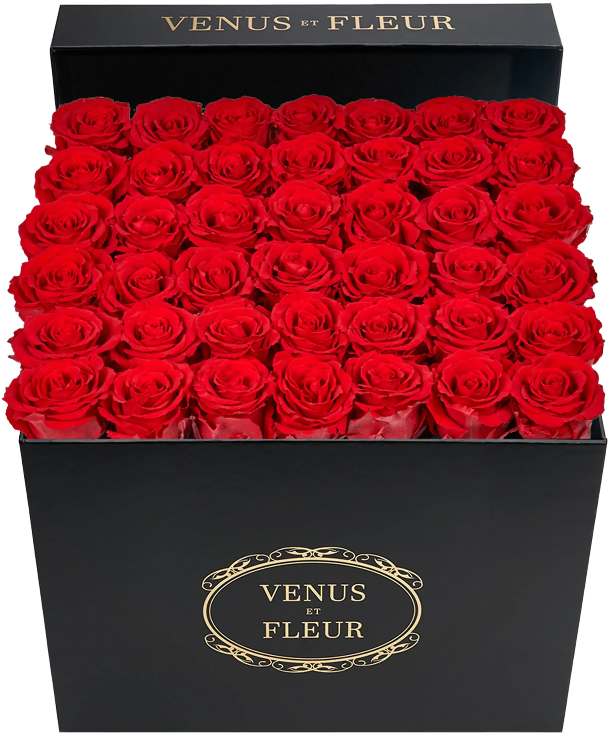 Venus ET Fleur Classic Large Eternity Roses