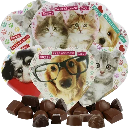 eedzo Animal Lovers Valentines Chocolate Heart Boxes Bundle