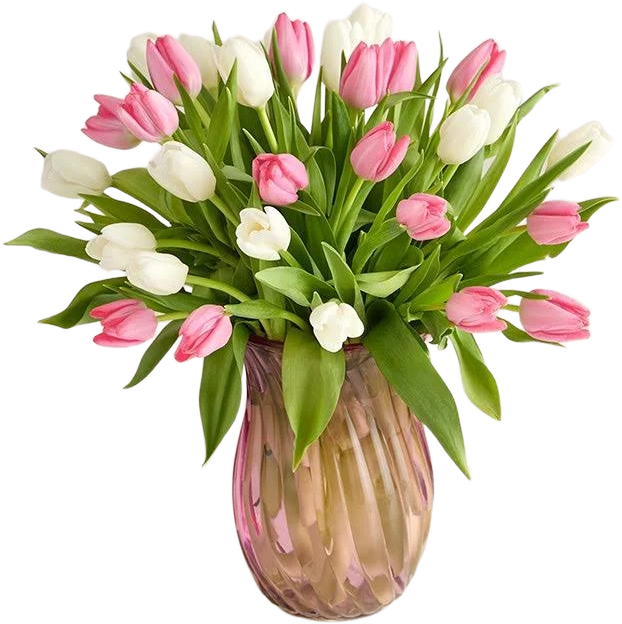 1-800-Flowers Send Flowers Same Day Flower Delivery Sweet Spring Tulip Bouquet