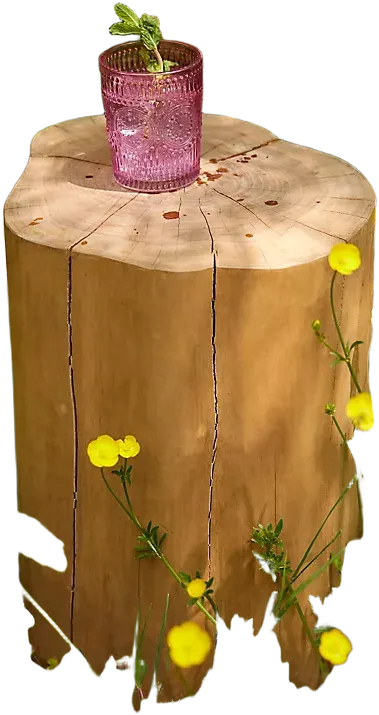 Teak Root Stool