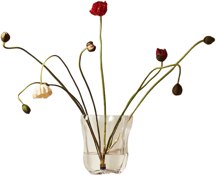 Large Glass Vase