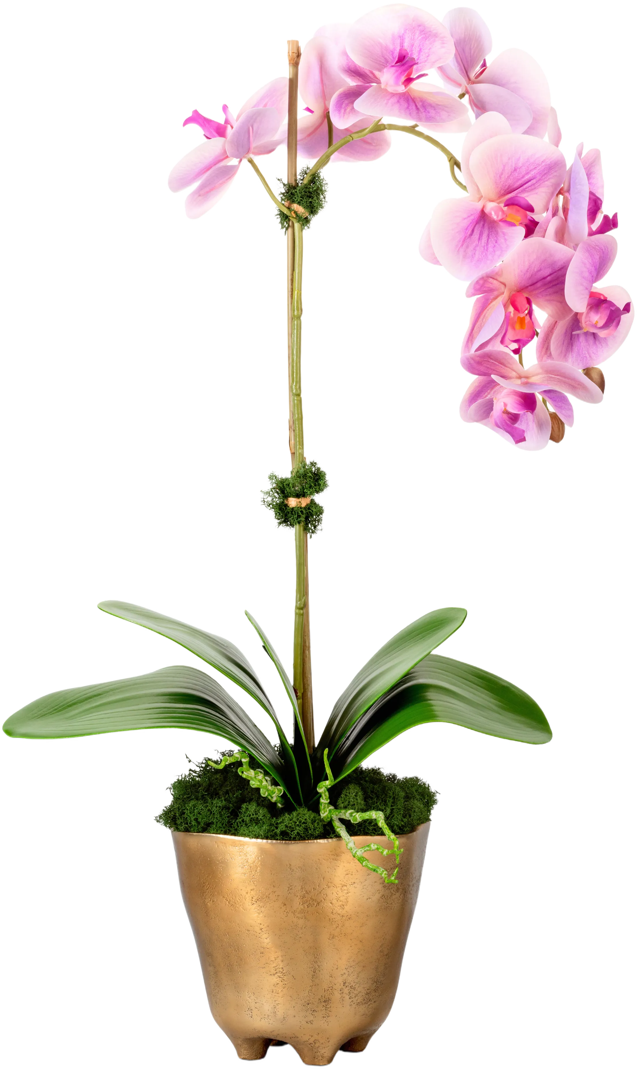 CocoBella Axel RealTouch Orchid Arrangement