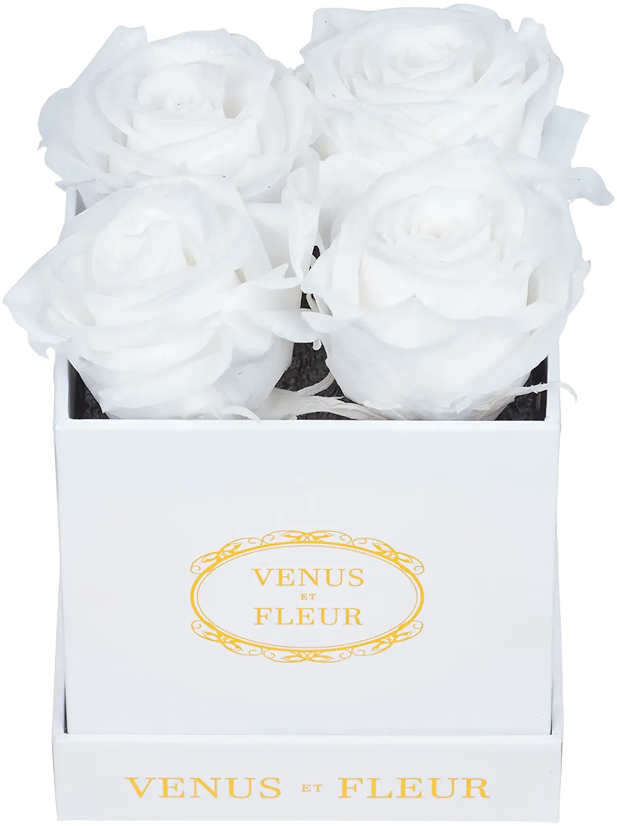 Venus ET Fleur Classic Le Petit Eternity Roses