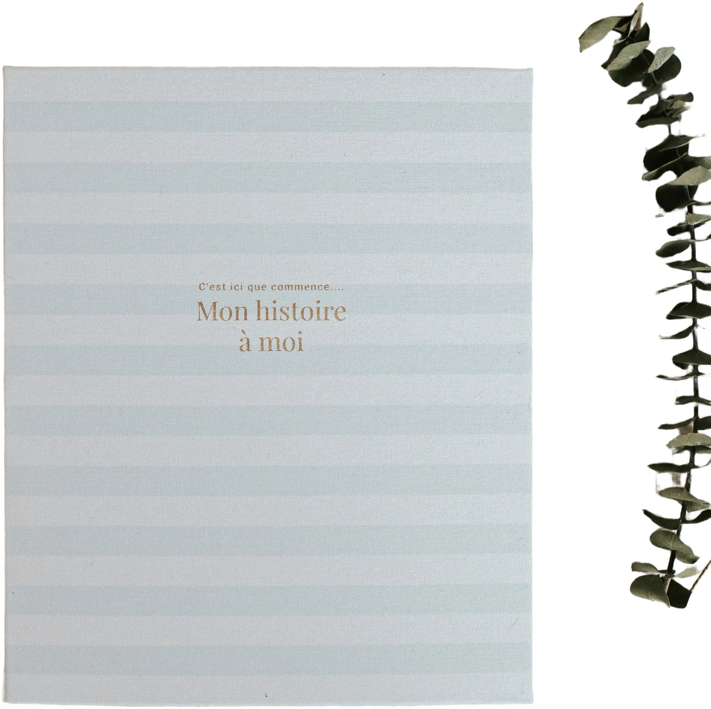 Baby book, Baby album, Birth book, Pregnancy journal, Future mother, Birth gift, Shower, Baby schoolbag, Baby book Blue lined