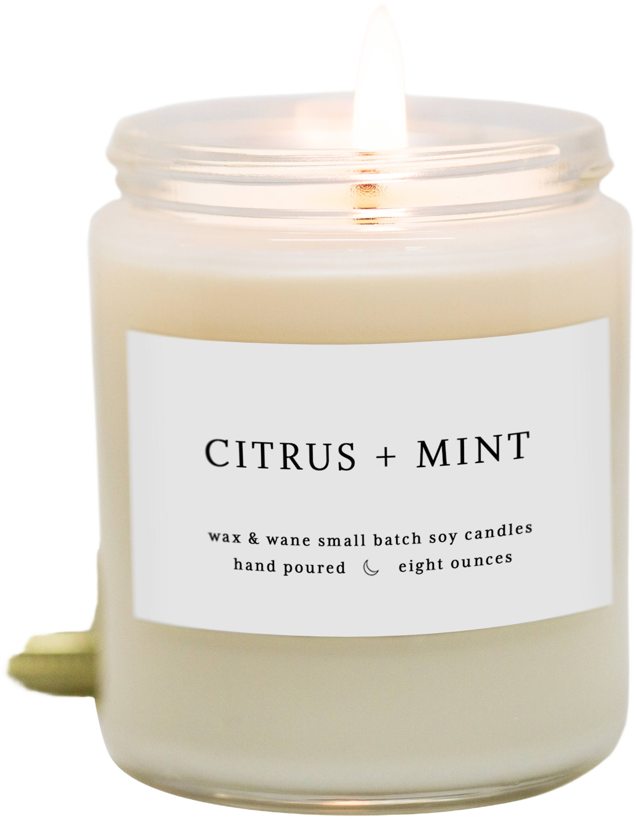 Modern Soy Candle Citrus + Mint 8 oz