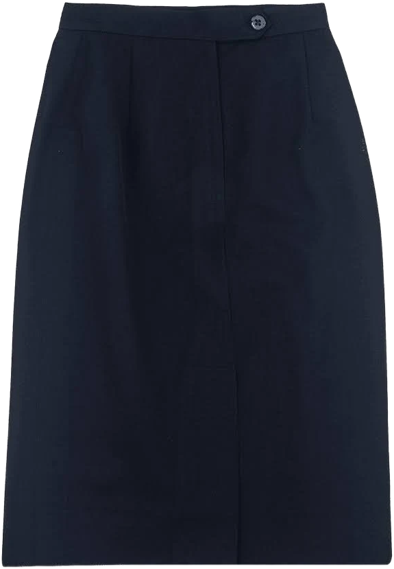 Dress Skirt