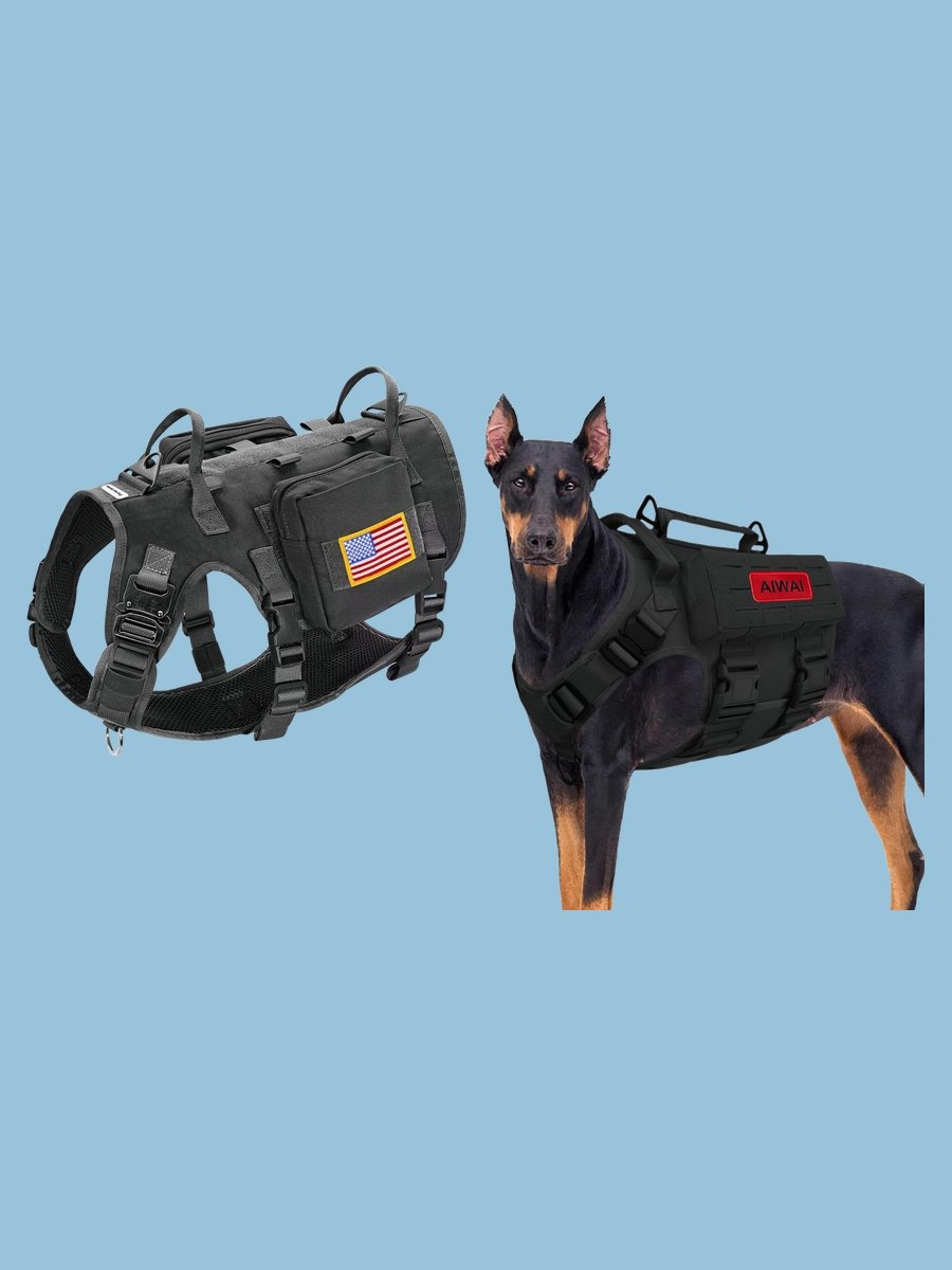 Tactical Vest Best: The Ultimate Streetwear Sensation