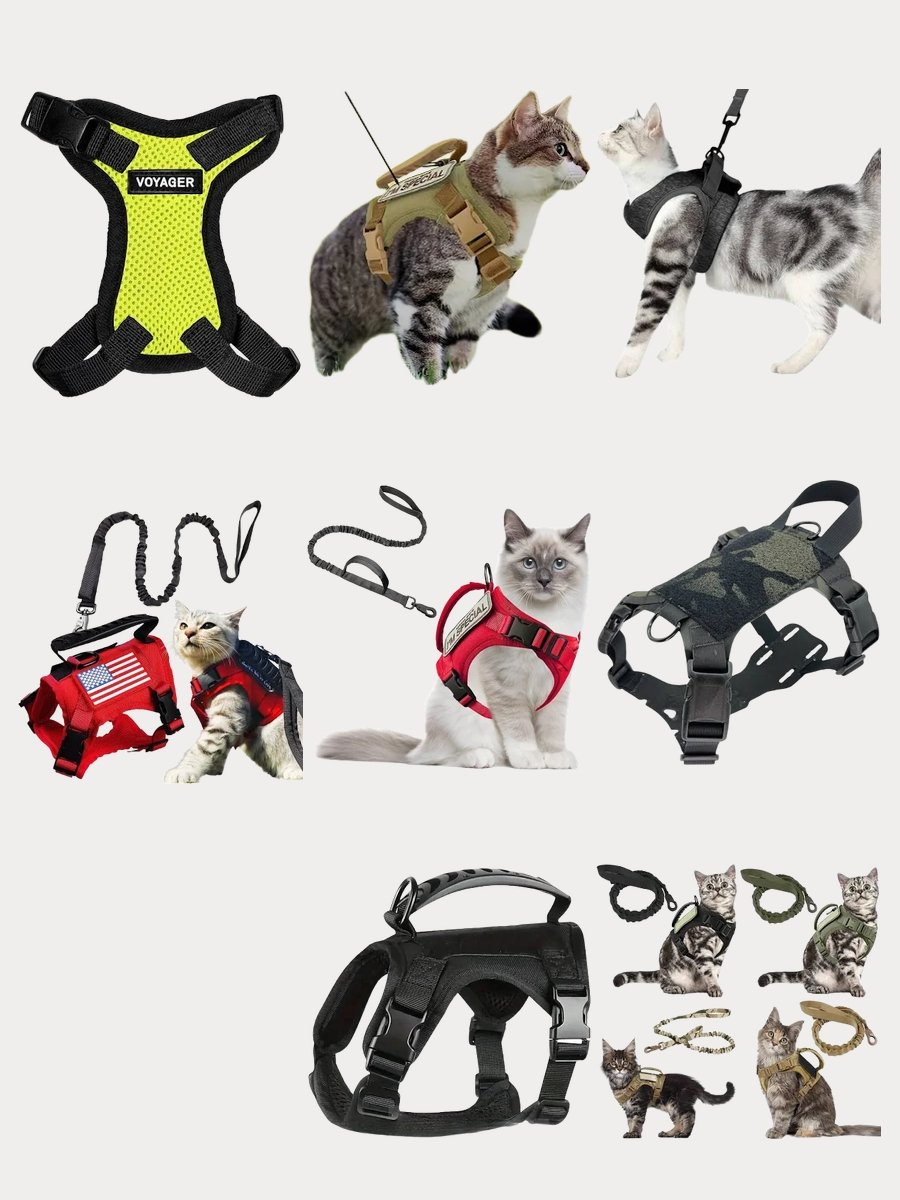 Rock the Black Tactical Cat Vest with Style!