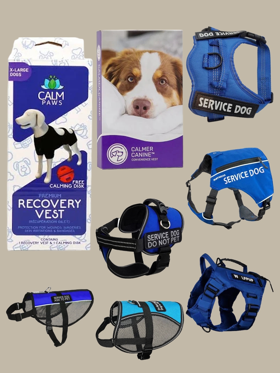 Therapy Dog in Training Vest: Style Unleashed!