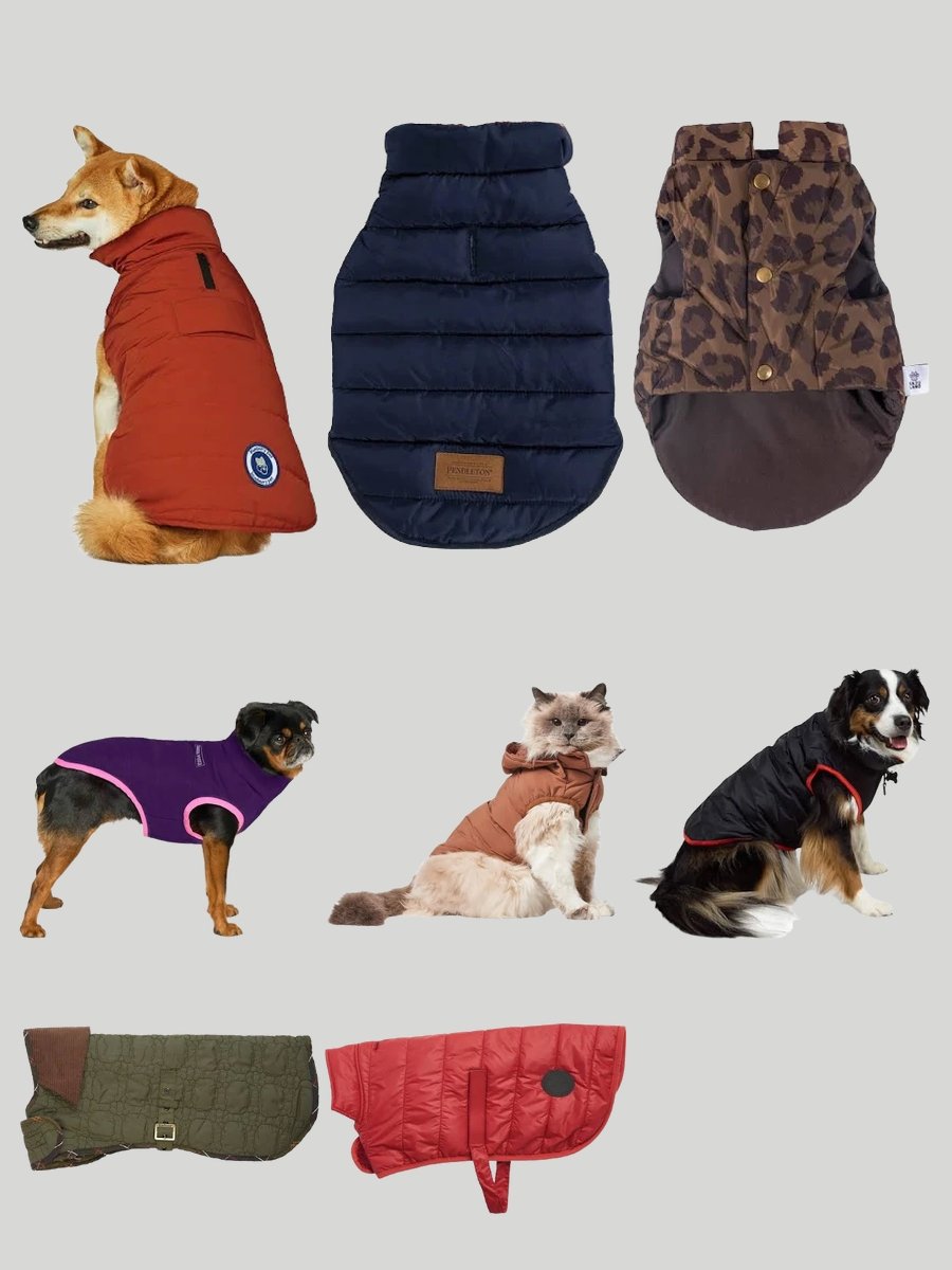 Sitka Dog Vest Chic: Elevate Your Pup’s Style