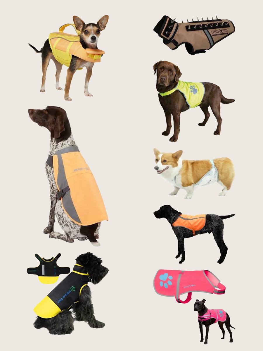 Small Dog Coyote Vest: Style Meets Safety