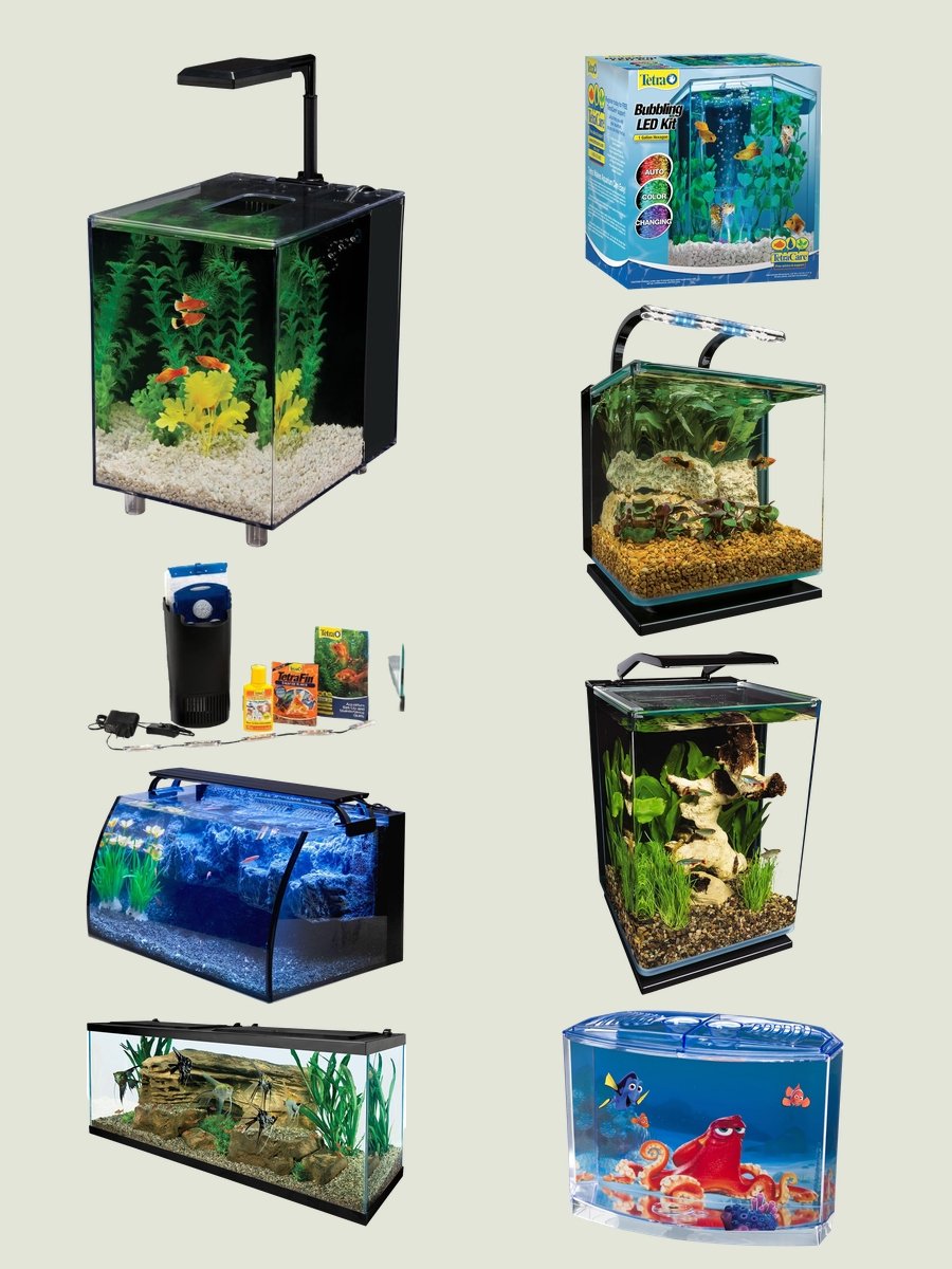 Discover Chic With Top Fin Fish Tank!