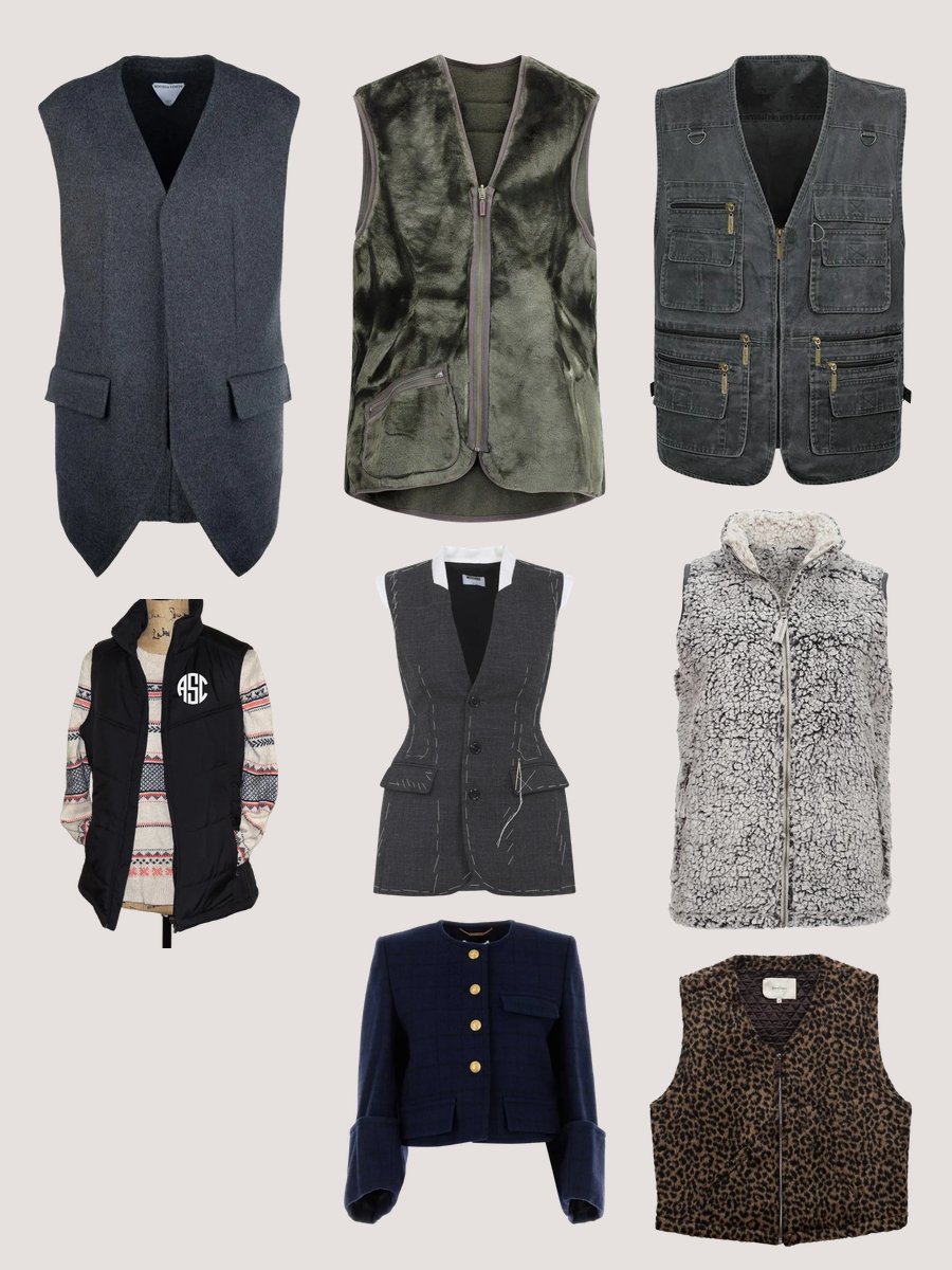 Thunder Vest Dog: Fashion Meets Function