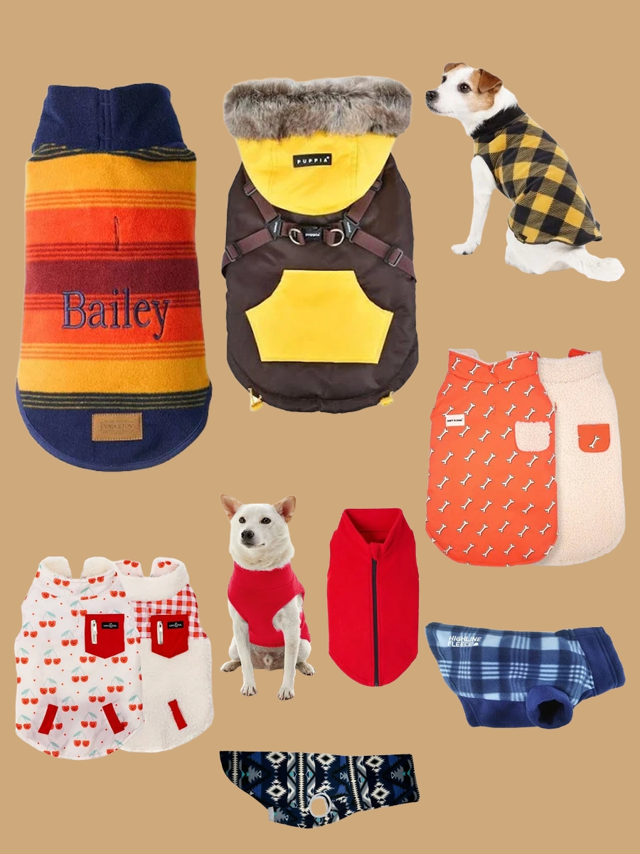 Chic & Cozy: The Stylish Vest for a Dog