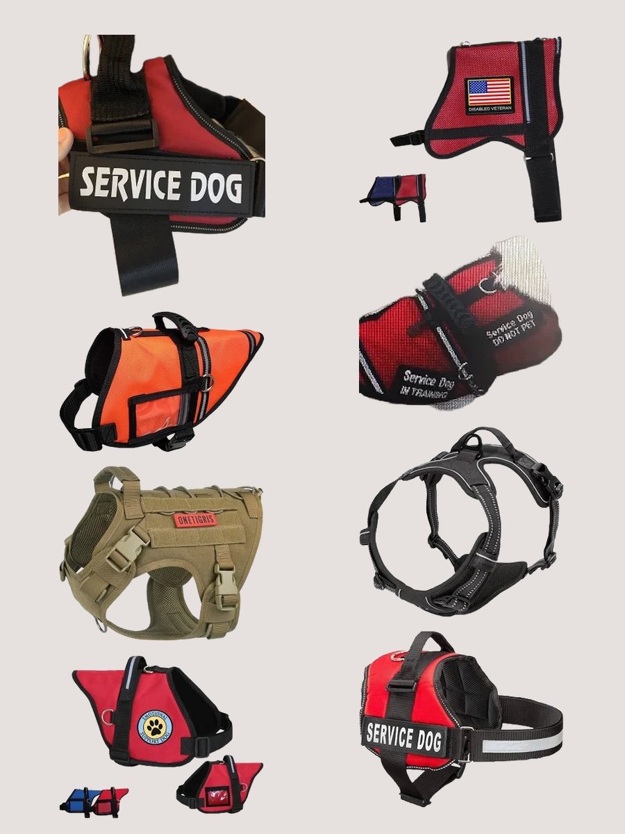Stylish and Functional: Red Service Dog Vest on Amazon
