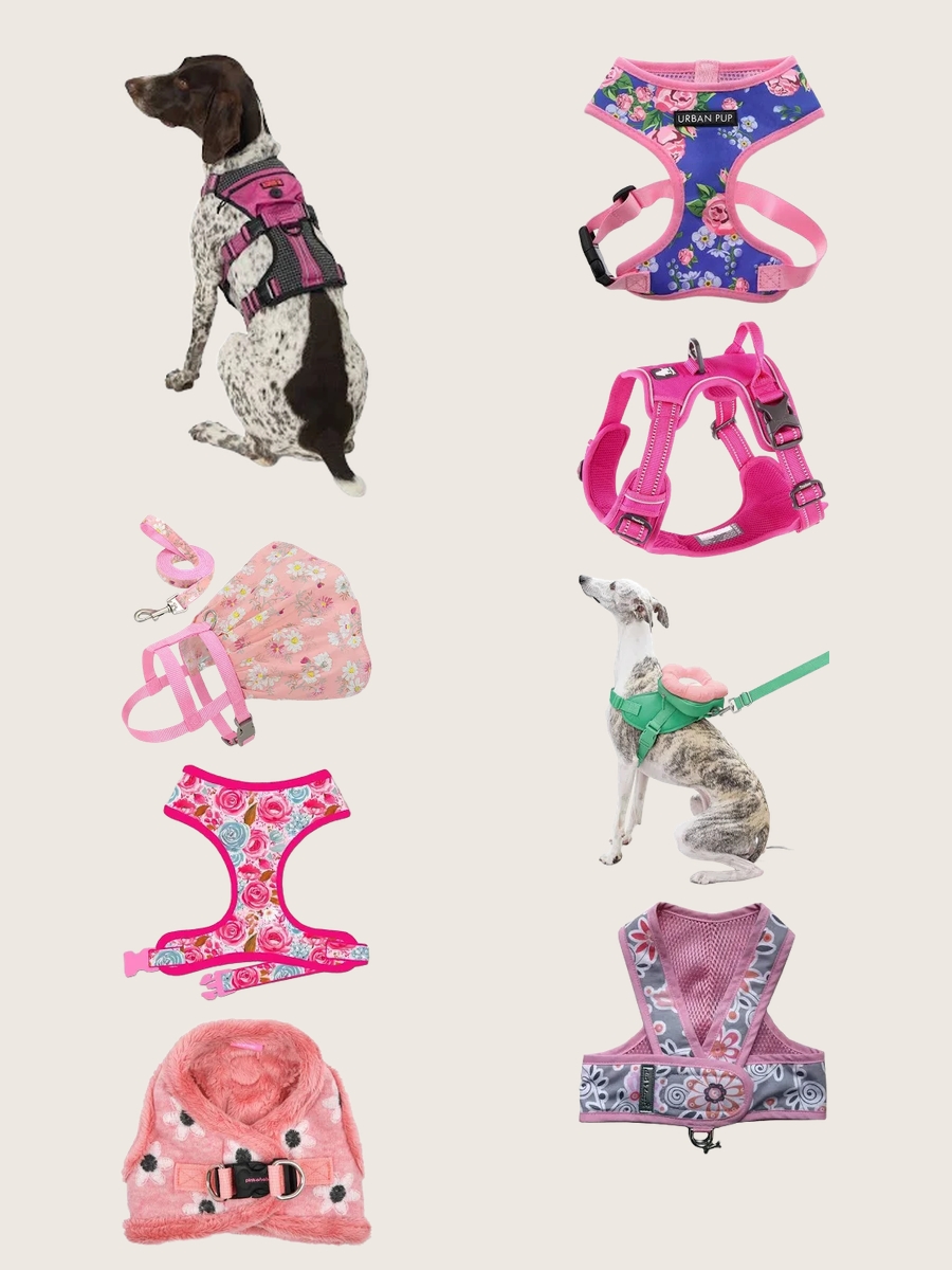 Puppy Harness Vests: Floral Fashion for Your Pup!