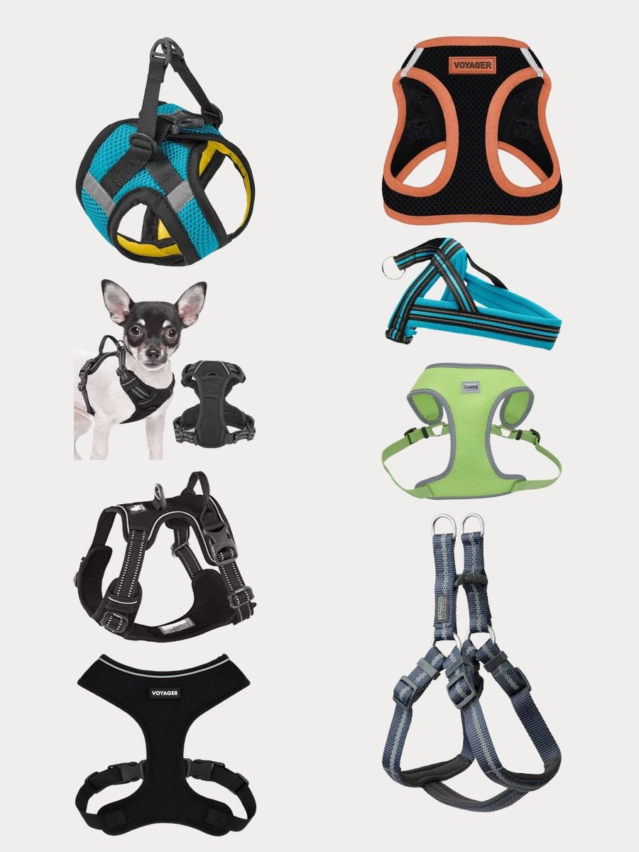Elevate Your Pup's Style with a Vest Dog Harness!