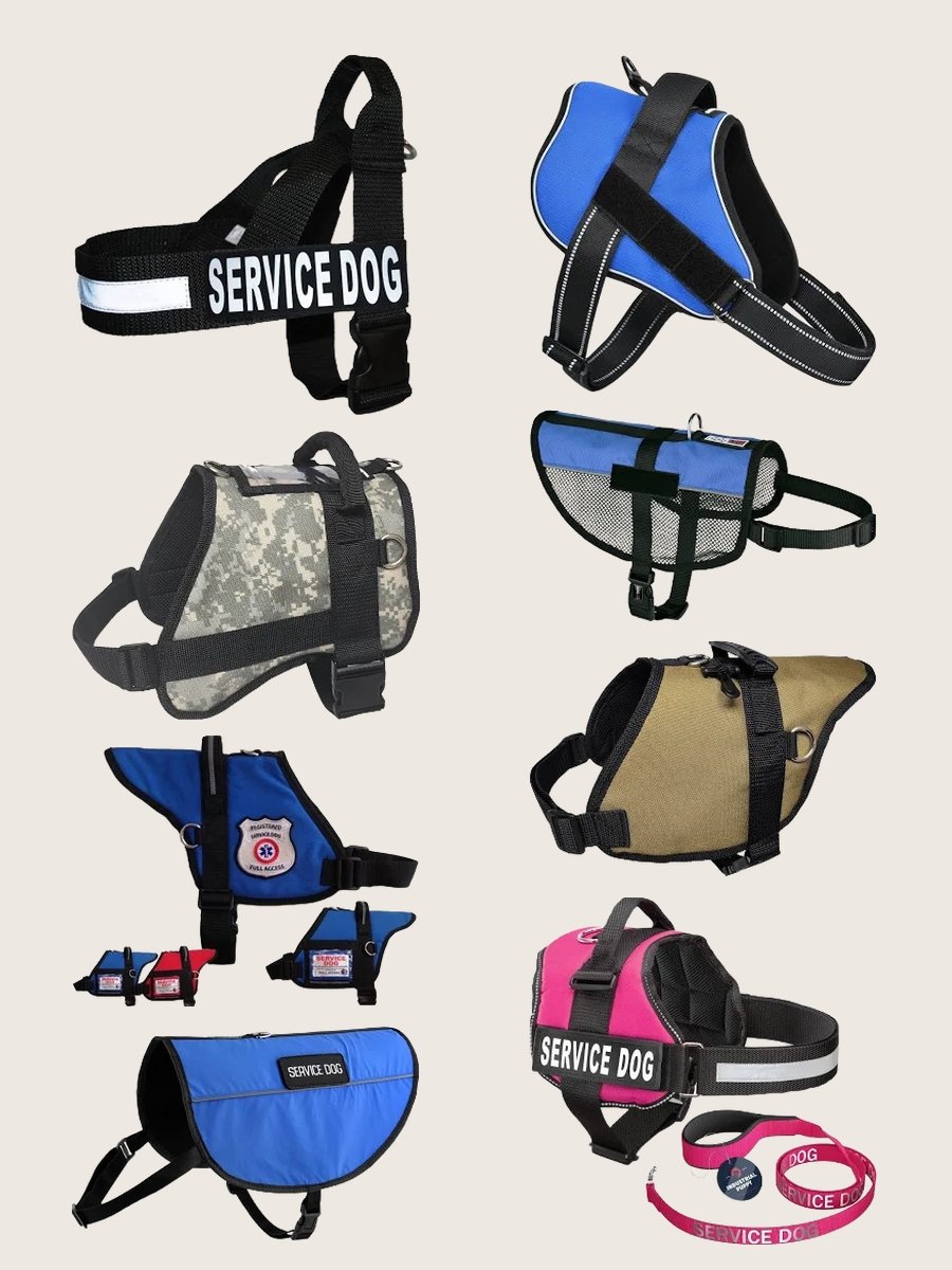 Transform with a Trendy Blue Service Dog Vest