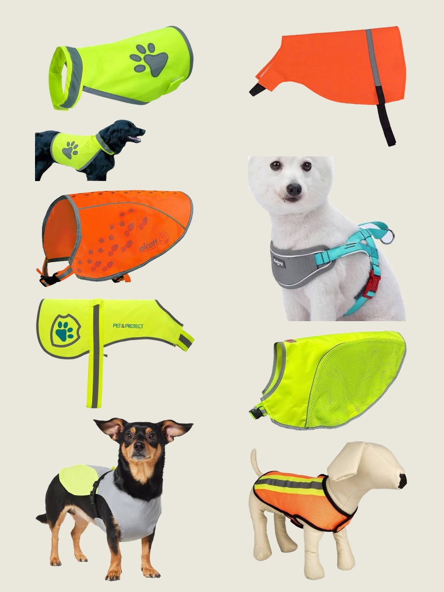 Dog with Vest: Trendy and Functional Canine Couture!