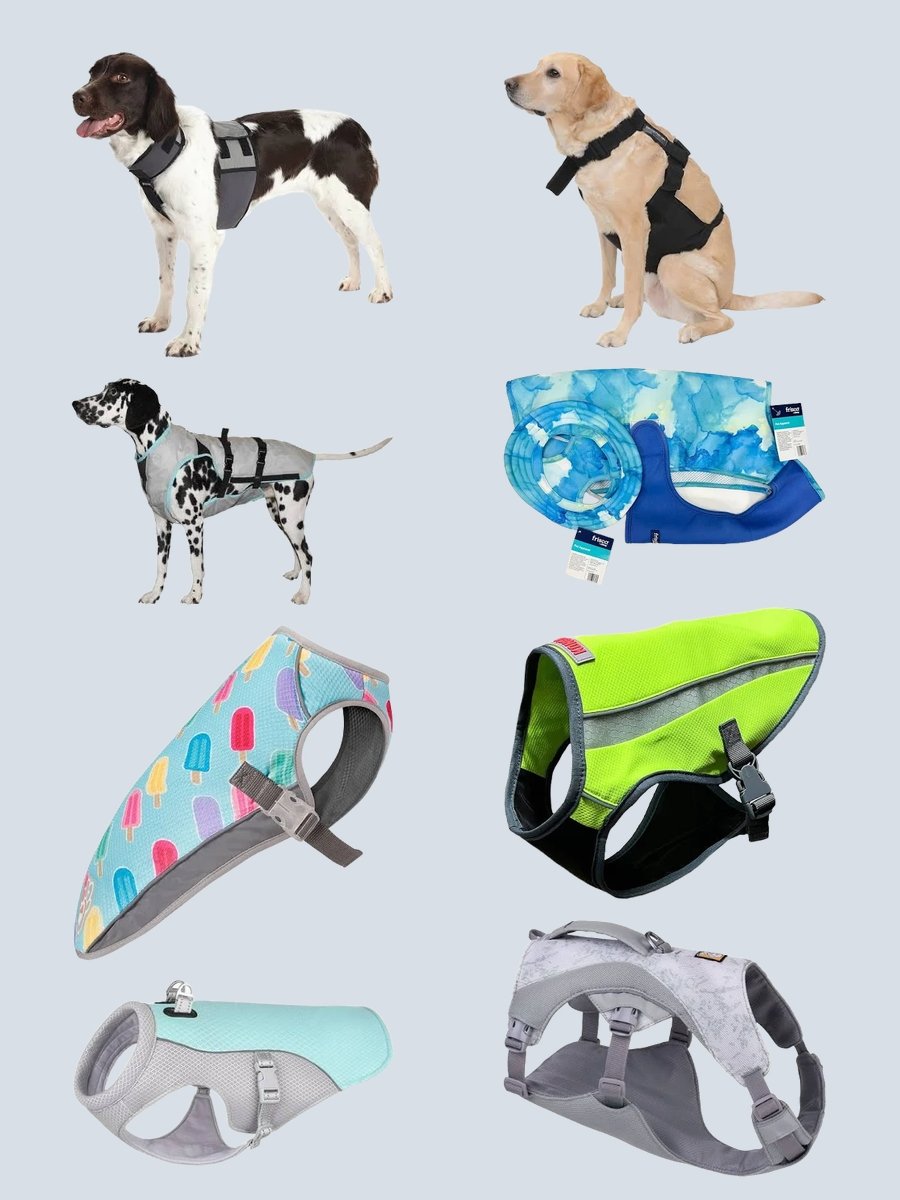 Chill Vibes: The Perfect Dog Cooling Vest