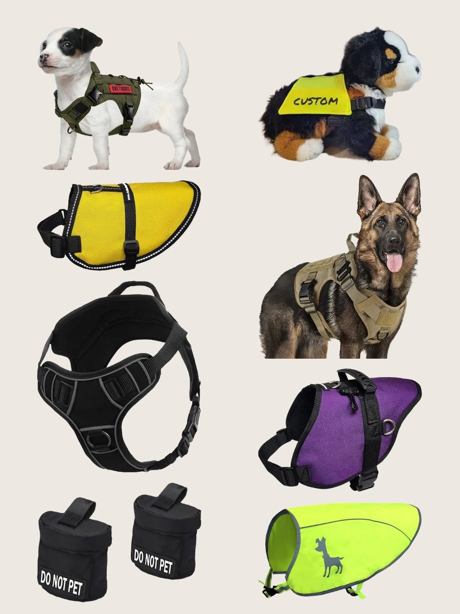 Do Not Pet Dog Vest: Fashion's Boldest Statement