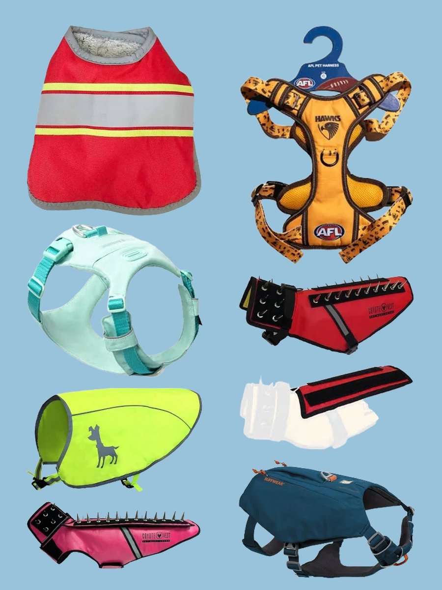 Stylish Hawk Vests for Small Dogs: A Fashion Must!