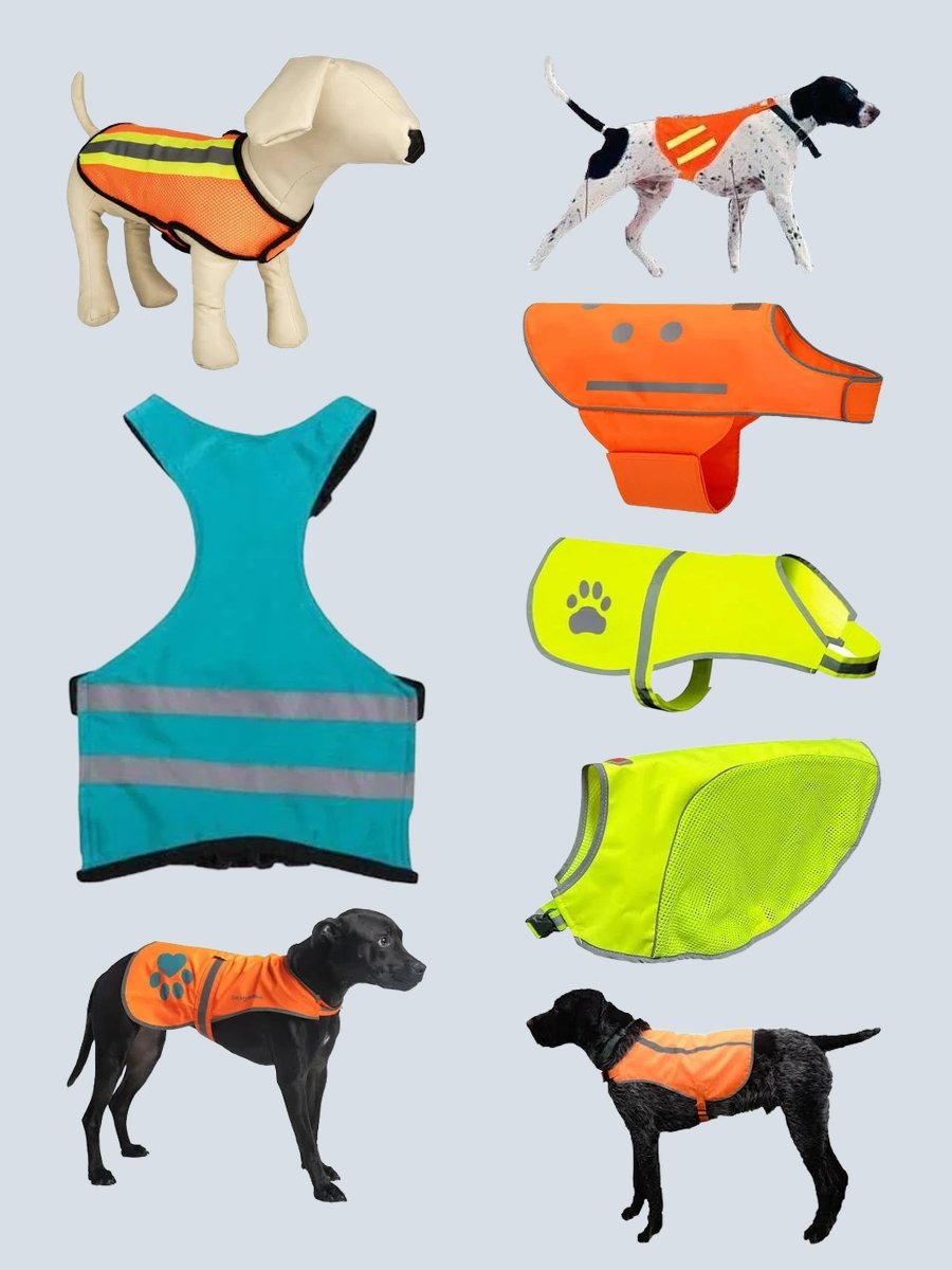 Protect Your Pup in Style: Reflective Dog Vest Fun