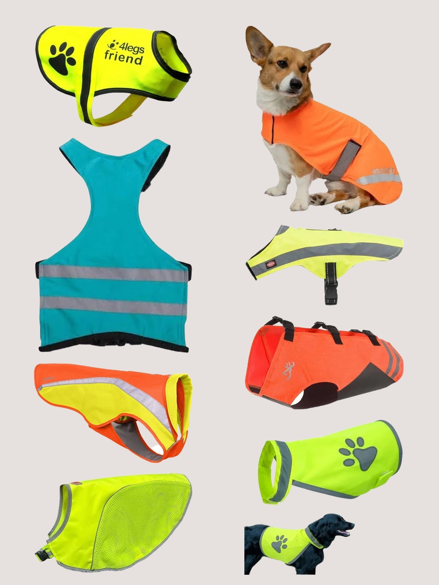 Dog Security Vest: The Ultimate Canine Chic Hypothesis