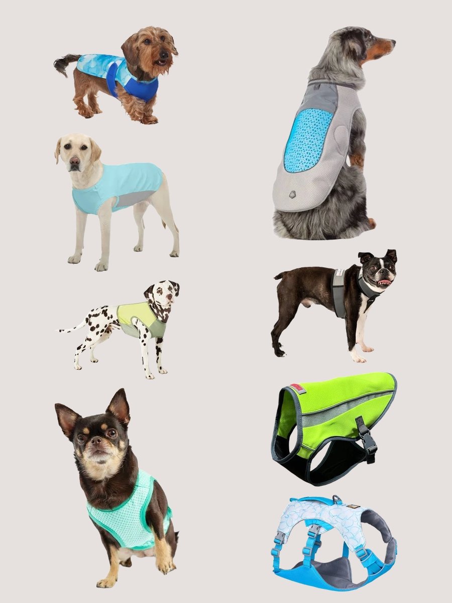 Cooling Dog Vests: Chic and Comfortable for Pooches