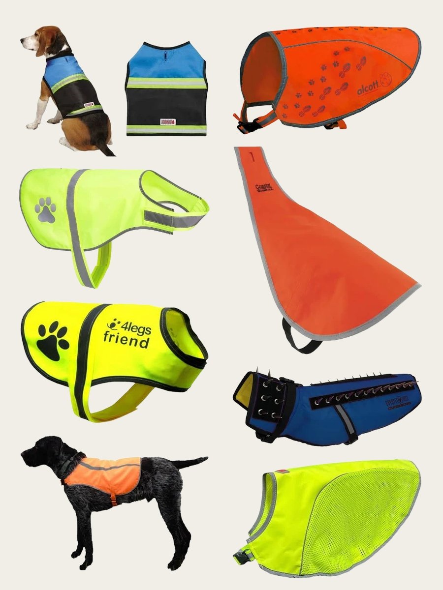 ESA Vests for Dogs: Safety Meets Style