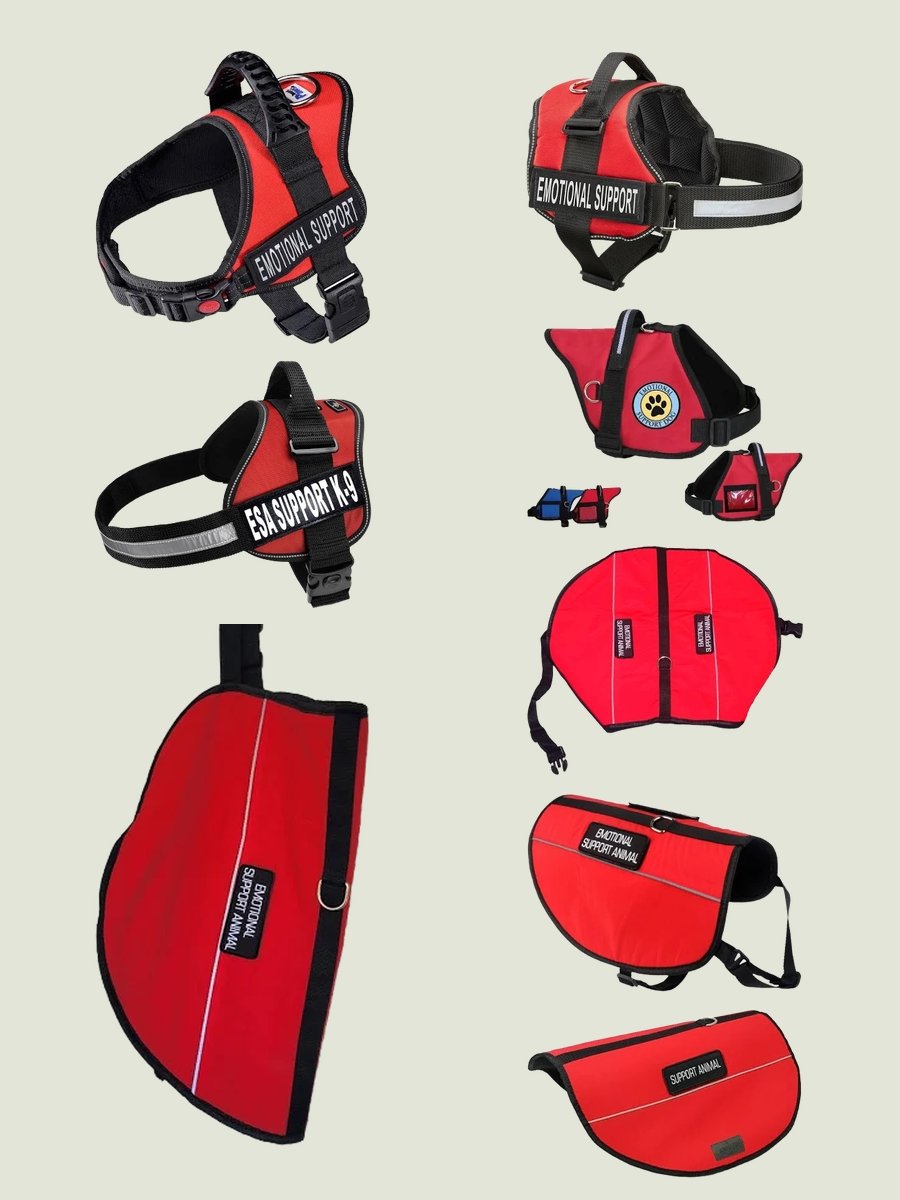 Red Emotional Support Dog Vest: Style Meets Function
