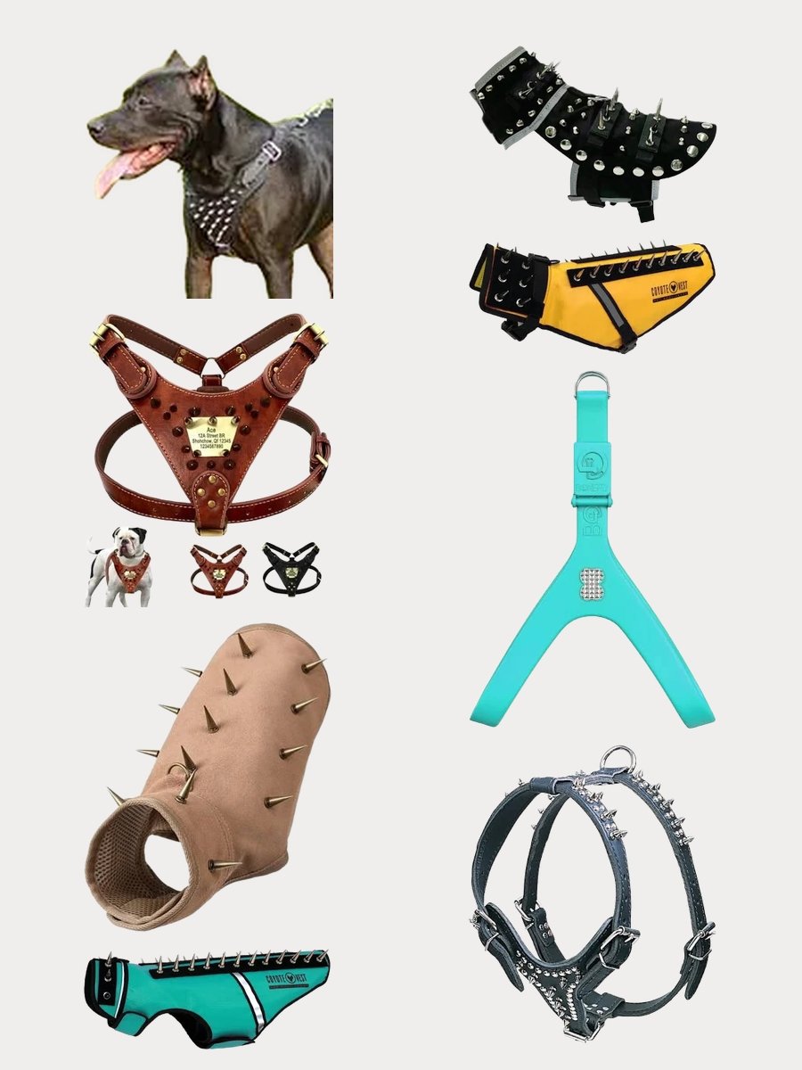 Unleashing Style with the Ultimate Coyote Vest