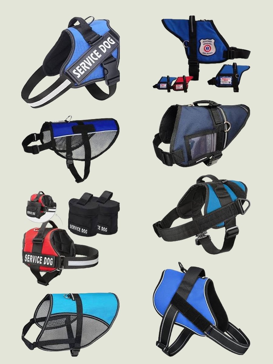 Dog Service Vest: Stylish Utility for Your Pooch