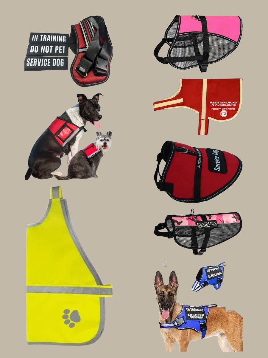 Make Training Stylish with a Reflective Vest!