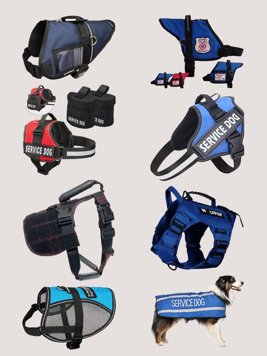 Haute Paws: A Chic Guide to Helper Dog Vests