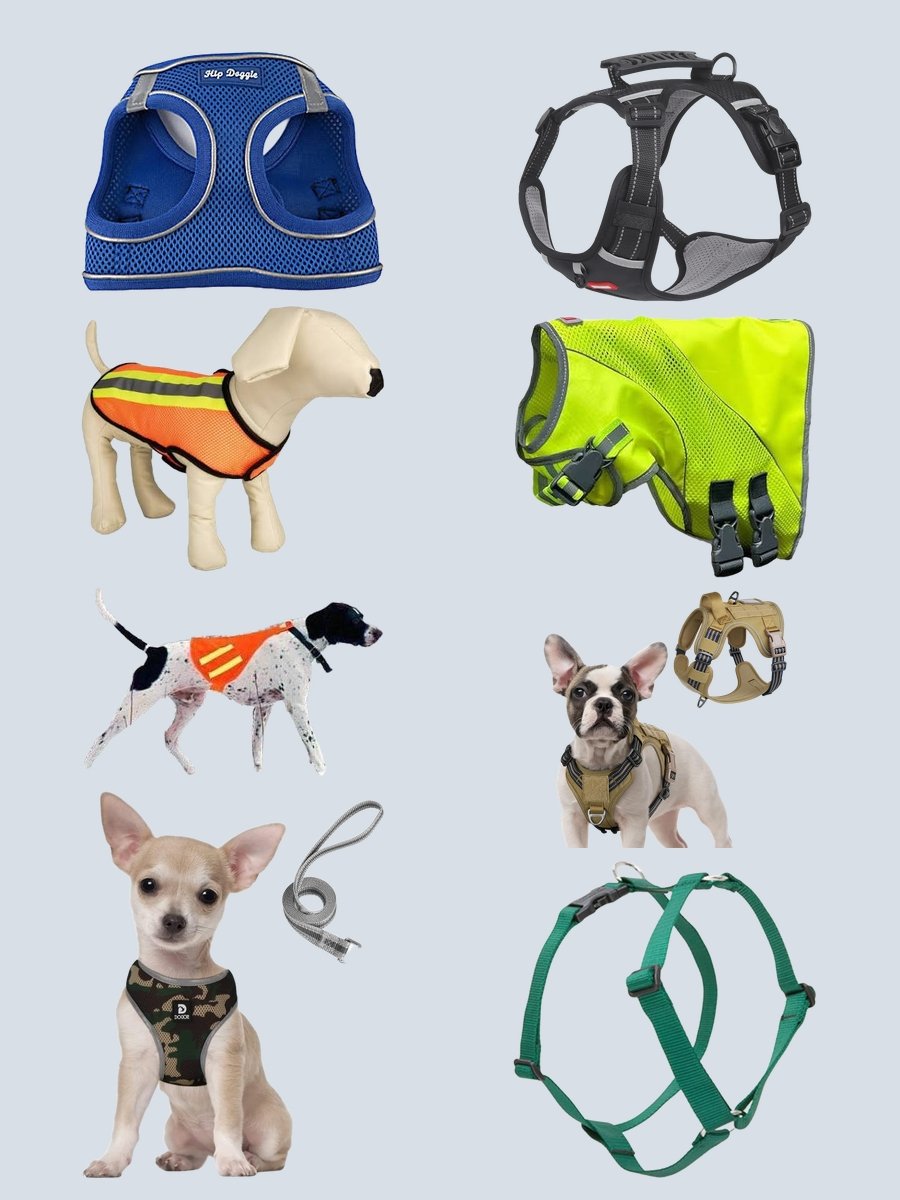 Discover Trendy Dog Vests and Harnesses Now!