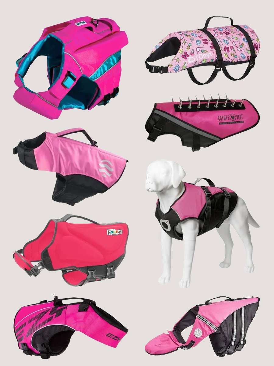 Dog Flotation Vest: A Stylish Splash of Safety