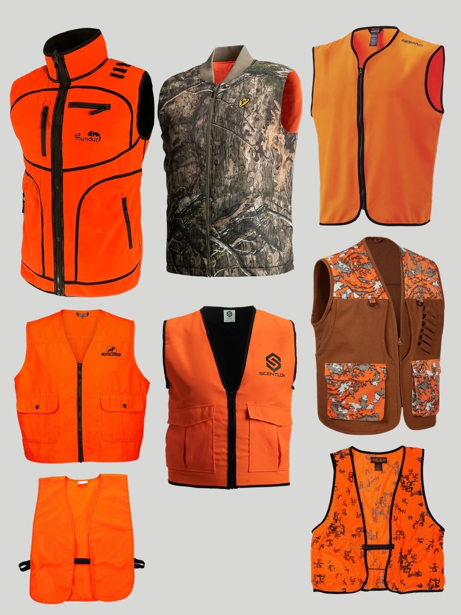 Hunting Dog Vest Style: Fashion Meets Functionality