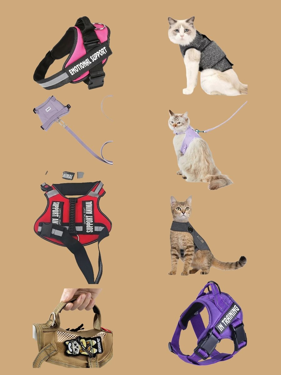 Styling the Purple Emotional Support Cat Vest With Flair