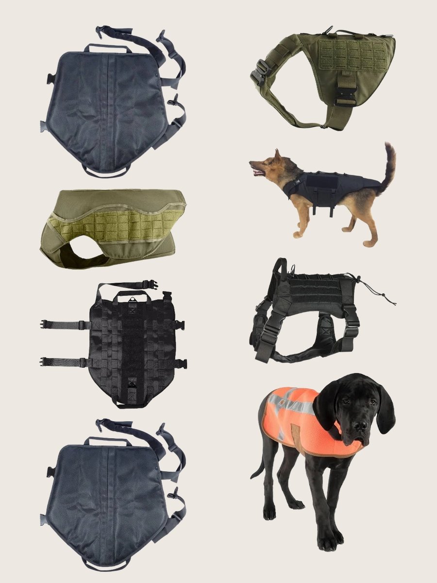 Dress Your Pup to Impress with a Police Dog Vest