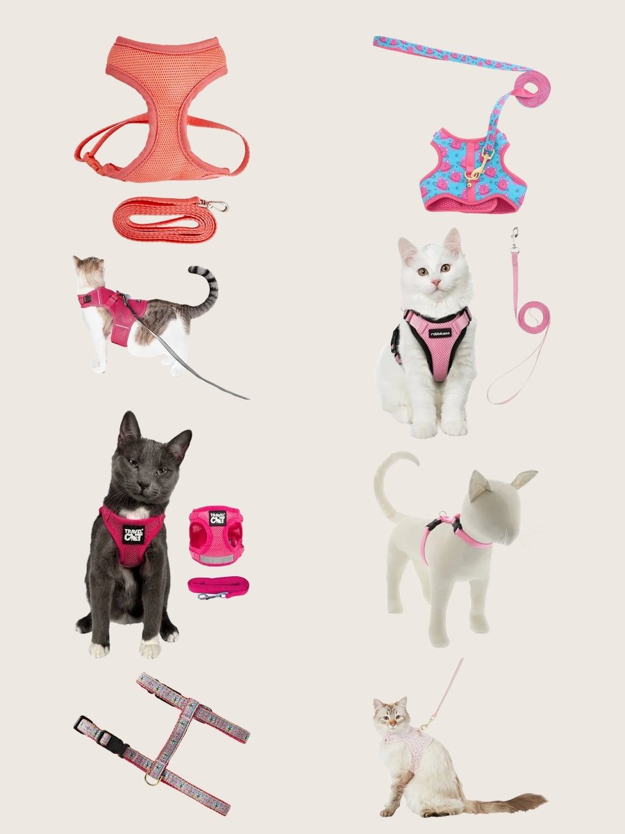 Cat Harness Vests: Elevate Your Kitty's Style