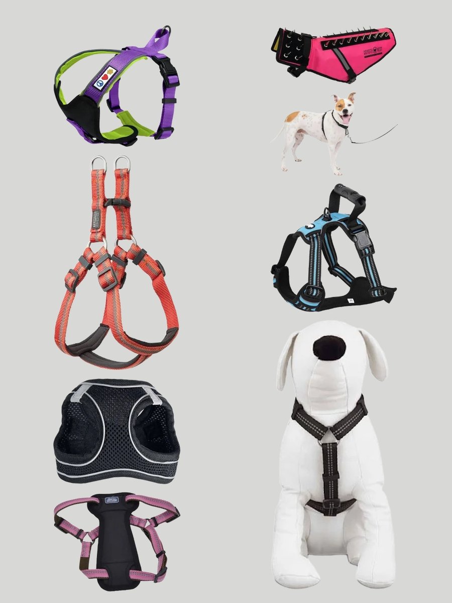 Stylish Must-Have: Dog Vest Harness Guide