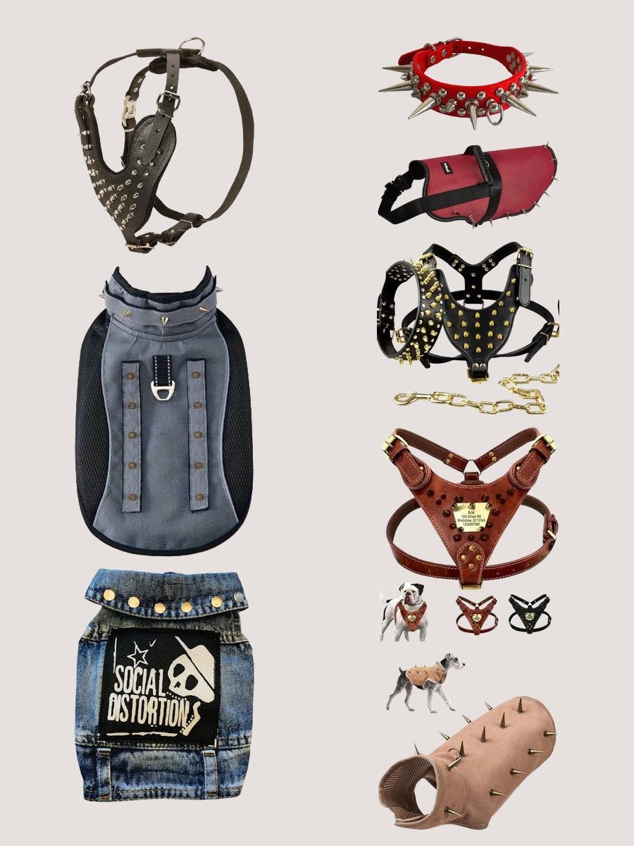 Rocking the Black Spiked Dog Vest: A Style Revelation