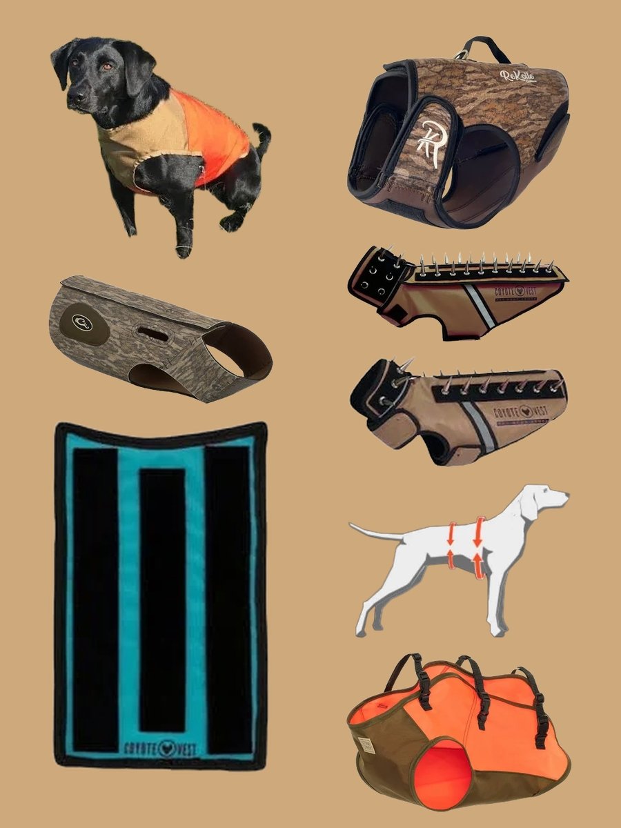 Snag the Trend: Coyote Proof Dog Vest Essentials!