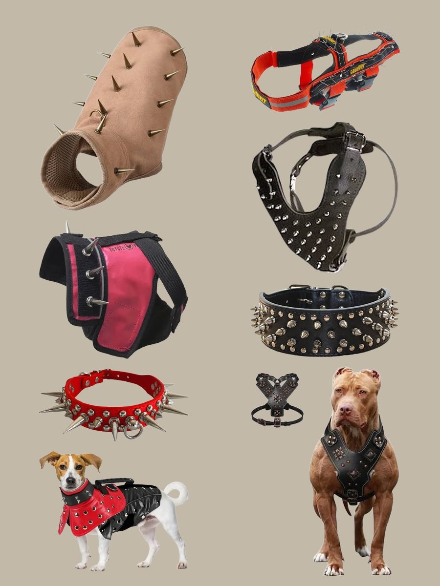 Dog Spike Vest: Unleash Your Pup's Inner Punk!