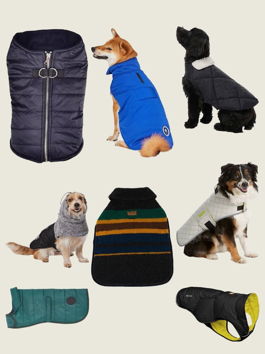 Unleash Style: The Black Quilted Dog Vest Revolution