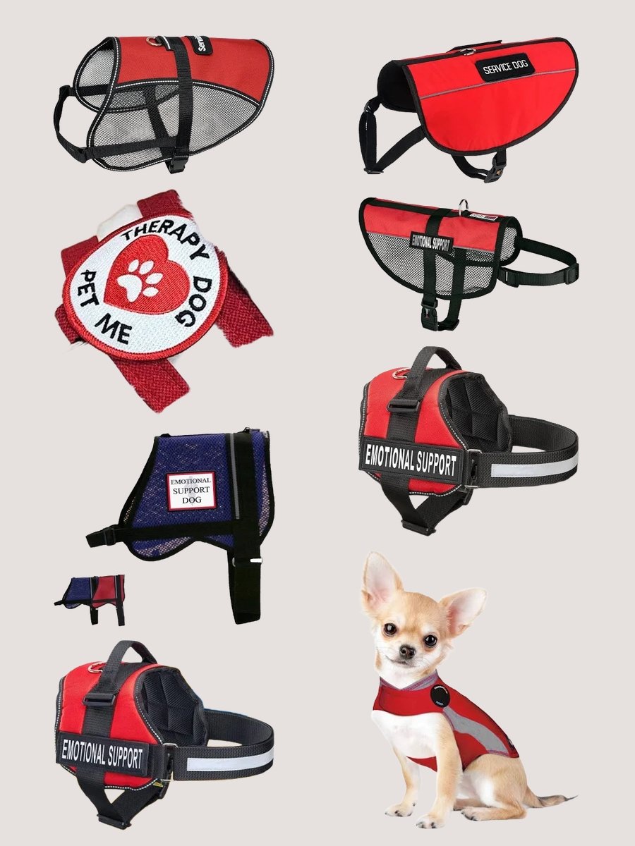 Therapy Dog Vests: Where Style Meets Purpose